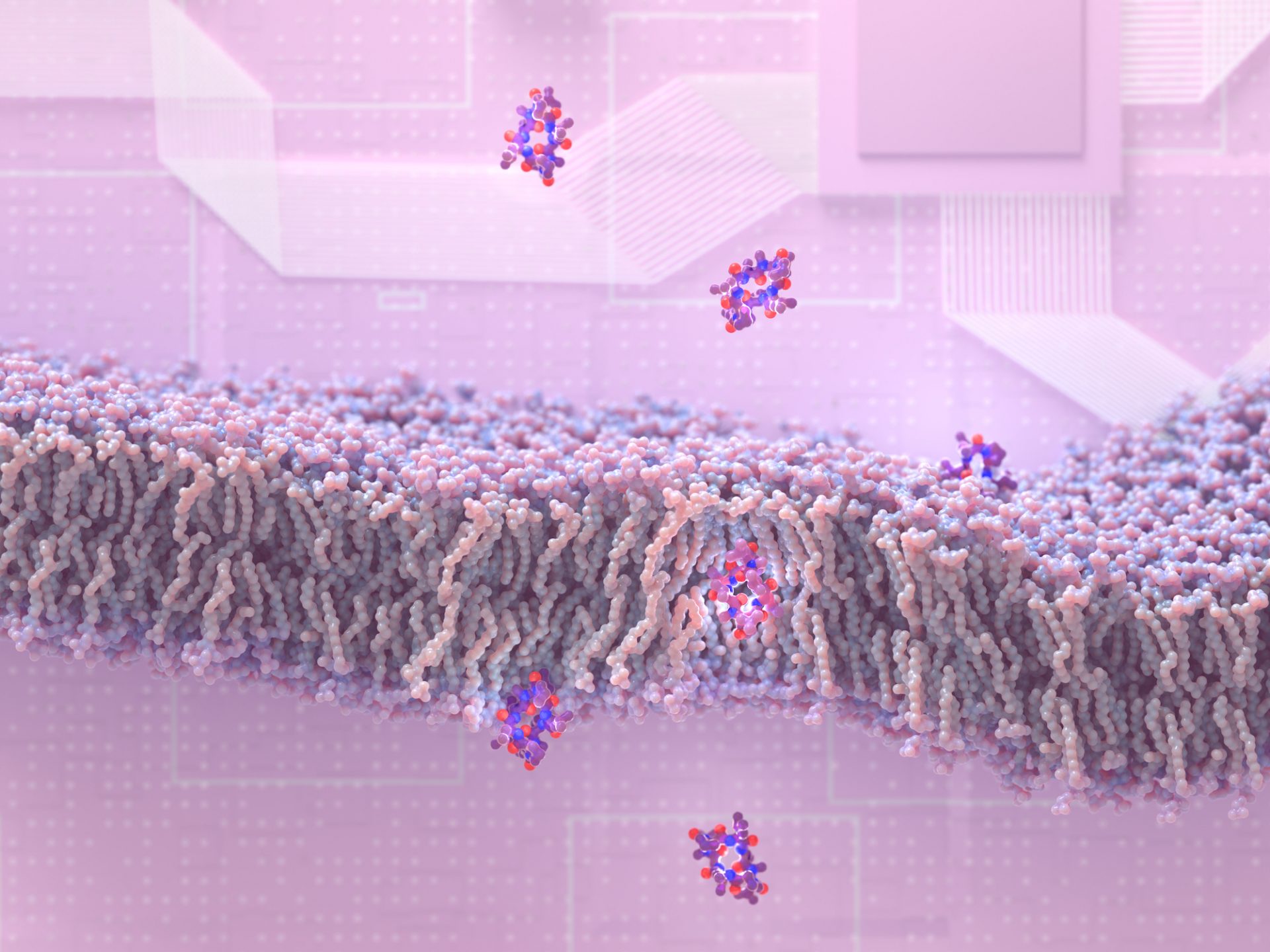 design-of-membrane-traversing-peptides-leads-to-new-spinout-institute