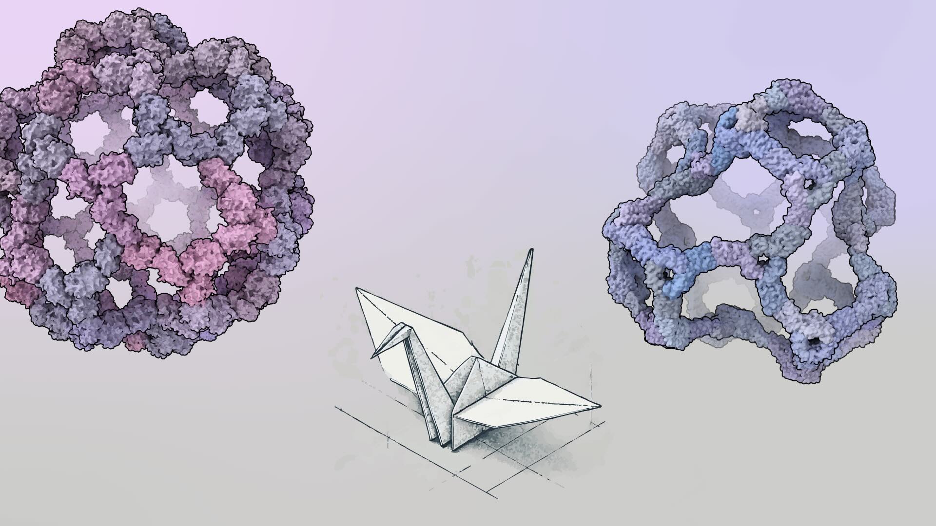 Building bigger nanocages with less symmetry